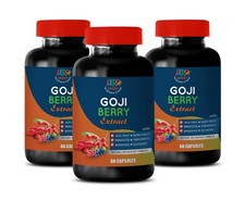 goji plant - GOJI BERRY